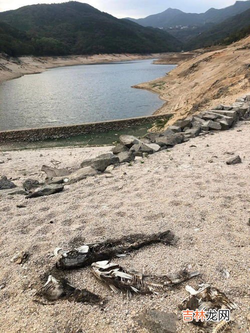 人不挣扎在水里会下沉吗,人掉进水里为什么会沉下去?