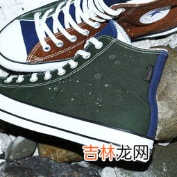 1970s是什么意思,四个数字+s是什么意思？如1970s是1970年吗？