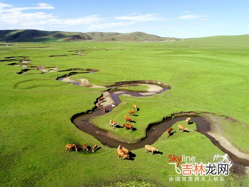 狼渡滩草原在什么地方,甘肃哪里有一草原，古时常有狼出没，因“狼”得名，如今只剩满眼青翠？