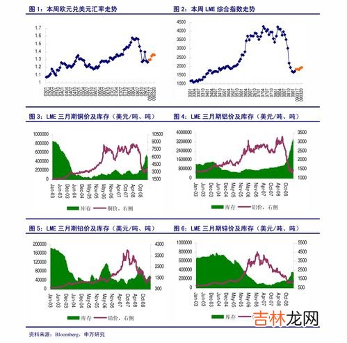 保健品辣木叶价格表,人的辣木叶可以给鹦鹉吃吗？