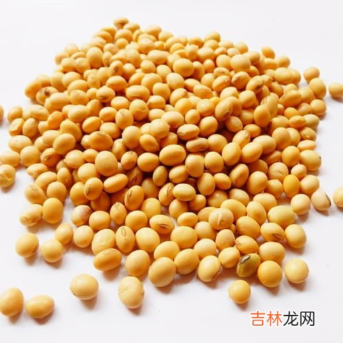 水解大豆蛋白的作用,大豆蛋白肽的作用和功效