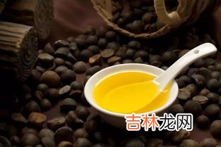 油茶是什么,油茶是什么东西呀？