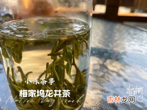 玉麒麟是红茶还是绿茶,绿茶怎么喝
