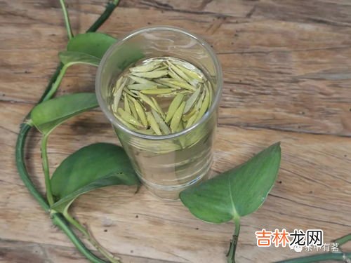 玉麒麟是红茶还是绿茶,绿茶怎么喝
