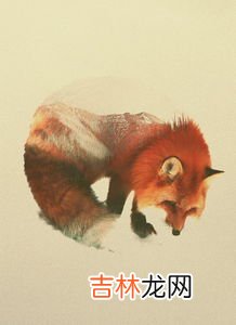 双壳纲动物哪一部分属于身体前端,双壳纲动物哪一部分属于前端