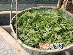 艾草洗完澡之后要用清水洗吗,儿童艾草泡澡正确方法 小孩多久泡一次艾叶澡好