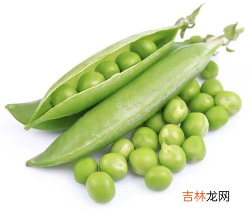 豆荚是什么,豆荚是什么