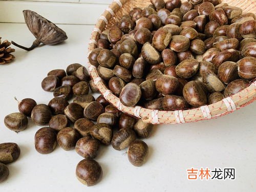 龙虾可以放冰箱冷冻吗,活龙虾冷冻还是冷藏