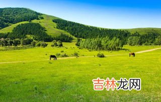 坝上草原是哪个城市,乌兰布统和坝上草原的区别，哪个更好？