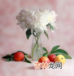 peach是什么意思中文,peach的中文意思