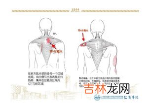 为什么后背痛是什么原因造成的,后背疼痛是什么原因?