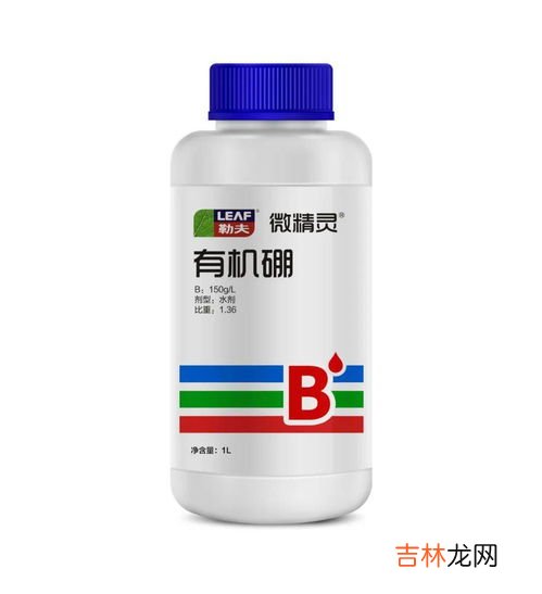 钙之缘片效果怎么样,孕期补钙前十名牌子