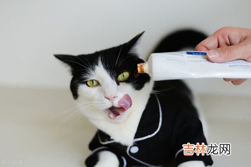 营养膏和化毛膏的区别,化毛膏、猫草、化毛球片哪个化毛效果比较好？