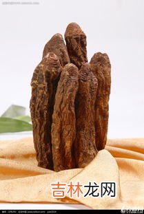 锁阳价格,野生锁阳多少一斤