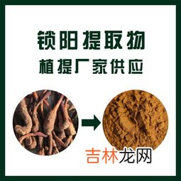 锁阳价格,野生锁阳多少一斤