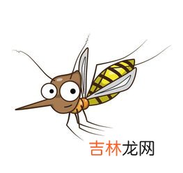 蚊子白天躲在哪里,蚊子一般爱躲在什么哪里?