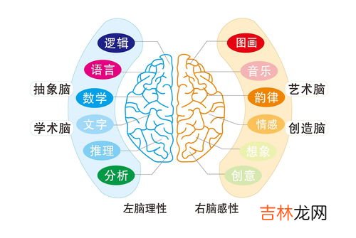 talent可数吗,talent可数吗 可以说 a talent？