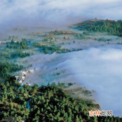 峨眉山索道到金顶要多久时间,从峨眉山山脚到金顶最快的路线是什么？