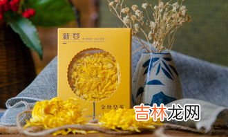 金丝皇菊为什么变绿,黄菊花与皇菊花区别