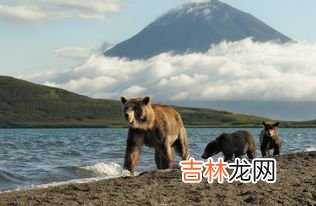 俄罗斯为什么被称为世界加油站,俄罗斯是世界上最大的能源出口国之一被称为什么