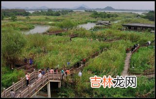 宁德有哪些水生动植物,水葫芦的危害！