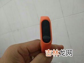 ebhr是什么牌子手表,ebohr是什么牌子