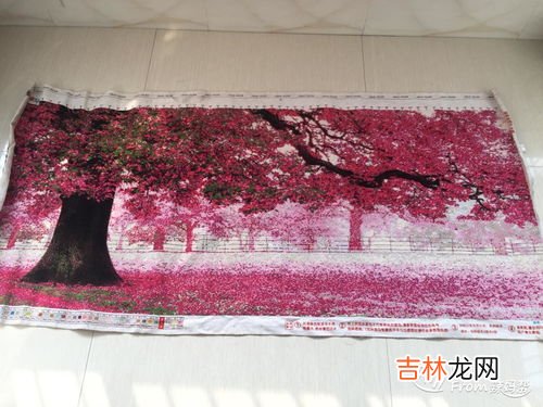 十字绣的绣法步骤，初学者应注意什么,十字绣怎么绣 新手入门
