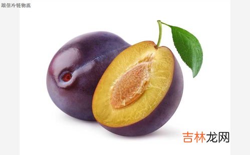 李子长途运输保鲜打包方法,李子在运输中怎么保鲜 如何保存李子