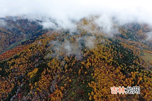 庞泉沟在山西什么地方,庞泉沟：玩乐之余感受生态之美