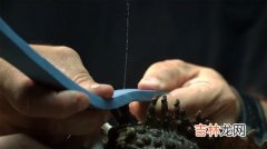 鱼泡泡是什么部位,鱼泡泡是不是装鱼尿的啊？