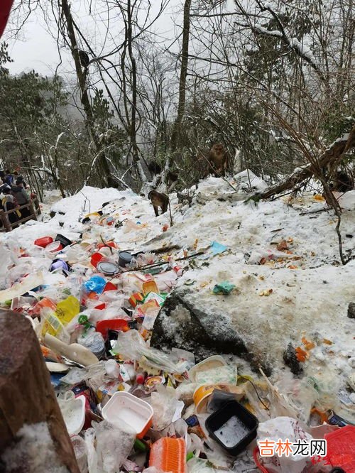 彭州九峰山风景区有雪吗,2019年12月20号彭州九峰山下雪了吗？