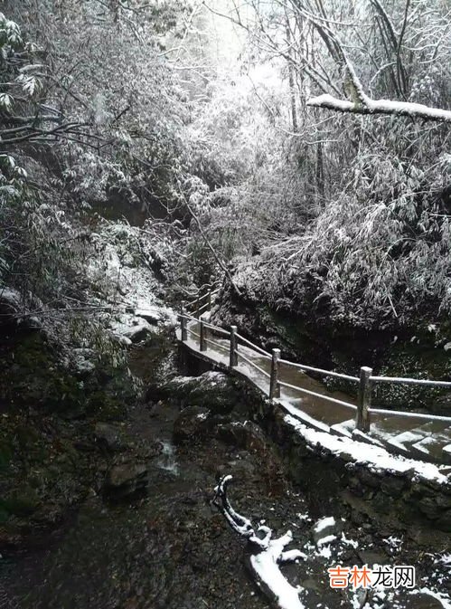 彭州九峰山风景区有雪吗,2019年12月20号彭州九峰山下雪了吗？