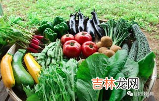 绿色食品是指什么食品,绿色食品是什么意思