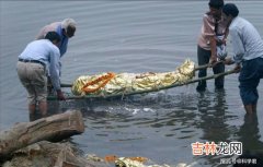 印度恒河水流向哪里,印度恒河在哪里