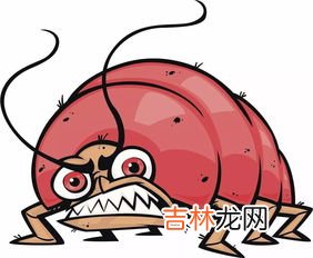 家里跳蚤怎么彻底消灭,怎么去除跳蚤,家里有跳蚤怎么去除怎样彻底清除跳蚤