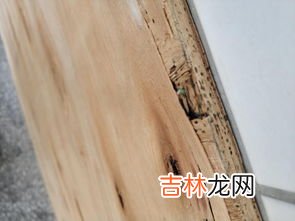 家里跳蚤怎么彻底消灭,怎么去除跳蚤,家里有跳蚤怎么去除怎样彻底清除跳蚤