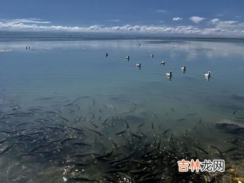 中国最大的咸水湖是,中国面积最大的咸水湖