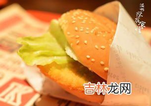 田园脆鸡堡为什么下架,被肯德基下架的美食都有哪些？