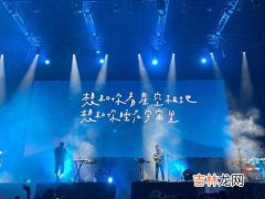 livehouse是酒吧吗,清吧和酒吧有什么不同