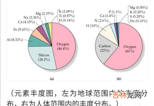 人体中含量最多的元素,人体中最多的元素