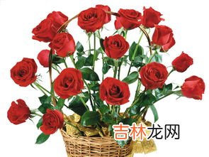 52支红色玫瑰代表什么意思,52朵玫瑰表示什么意思