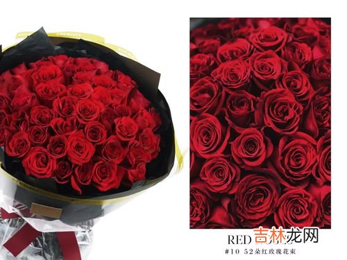 52支红色玫瑰代表什么意思,52朵玫瑰表示什么意思