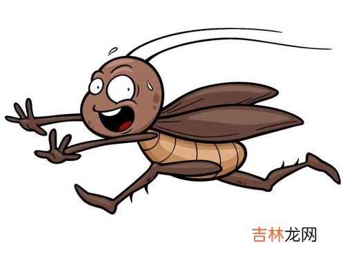 蟑螂怕光吗然后开着灯能行吗,蟑螂怕光开灯睡觉有用吗