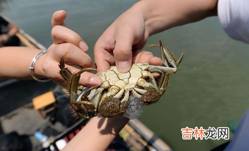 大闸蟹可以带上飞机吗,坐飞机带大闸蟹一定要托运吗？