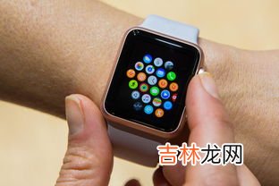 iPhone智能手表有什么功能,苹果一代手表有啥功能