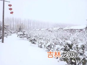 南京大雪是哪一年,南京在历史上3月28日有下过雪吗？