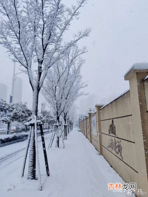 南京大雪是哪一年,南京在历史上3月28日有下过雪吗？