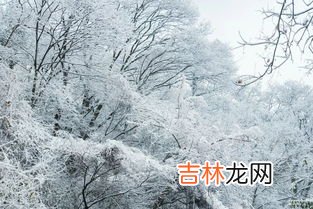 南京大雪是哪一年,南京在历史上3月28日有下过雪吗？