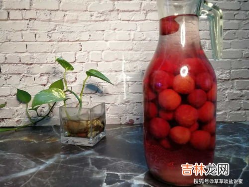 杨梅酒泡好了要不要把杨梅拿出来,杨梅酒的杨梅要分离出来吗 杨梅酒什么时间把杨梅分离出来最佳