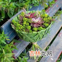 花是什么垃圾,鲜花属于什么垃圾